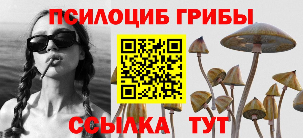 Галлюциногенные грибы Psilocybine cubensis  Галлюциногенные грибы Psilocybe  Кстово  Вход с VPN 